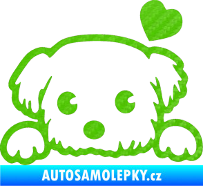 Samolepka Pes 057 pravá se srdíčkem 3D karbon zelený kawasaki