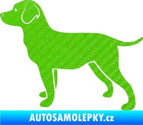 Samolepka Pes 062 levá Labrador 3D karbon zelený kawasaki