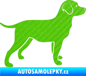 Samolepka Pes 062 pravá Labrador 3D karbon zelený kawasaki
