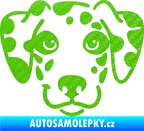 Samolepka Pes 064 Dalmatin 3D karbon zelený kawasaki