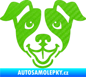 Samolepka Pes 065 3D karbon zelený kawasaki