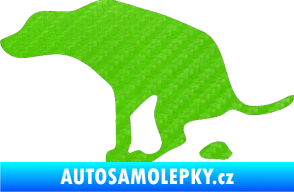 Samolepka Pes 077 levá 3D karbon zelený kawasaki