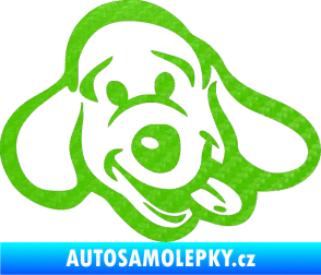 Samolepka Pes 078 pravá 3D karbon zelený kawasaki