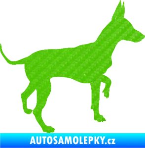 Samolepka Pes 093 pravá Pražský krysařík 3D karbon zelený kawasaki