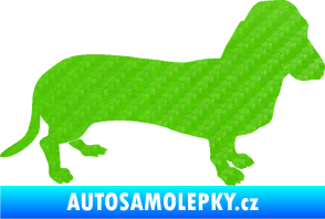 Samolepka Pes 094 pravá Baset 3D karbon zelený kawasaki