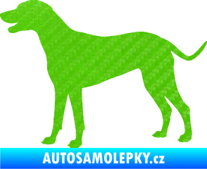 Samolepka Pes 095 levá Dalmatin 3D karbon zelený kawasaki