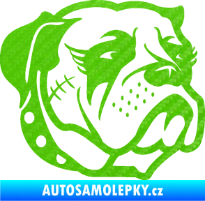 Samolepka Pes 097 pravá Buldok 3D karbon zelený kawasaki