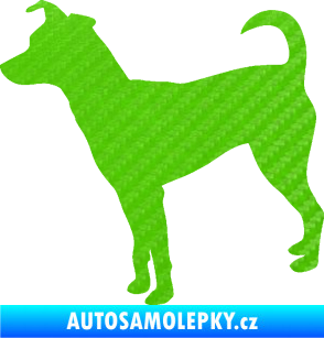 Samolepka Pes 100 levá Pražský krysařík 3D karbon zelený kawasaki
