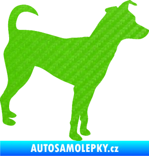 Samolepka Pes 100 pravá Pražský krysařík 3D karbon zelený kawasaki