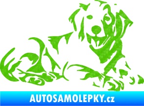 Samolepka Pes 106 pravá Retrívr 3D karbon zelený kawasaki