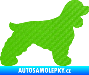Samolepka Pes 109 pravá Kokršpaněl 3D karbon zelený kawasaki