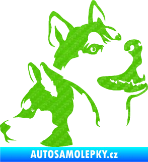 Samolepka Pes 117 pravá husky 3D karbon zelený kawasaki
