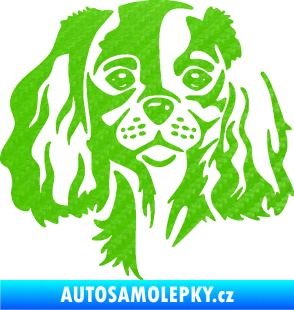 Samolepka Pes 132 levá Cavalier king Charles spaniel 3D karbon zelený kawasaki