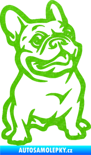 Samolepka Pes 139 pravá francouzský buldoček 3D karbon zelený kawasaki