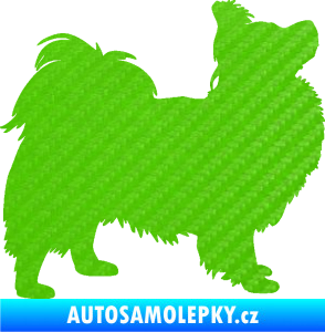 Samolepka Pes 149 pravá papillon 3D karbon zelený kawasaki