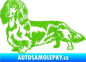 Samolepka Pes 158 levá dlouhosrstý jezevčík 3D karbon zelený kawasaki