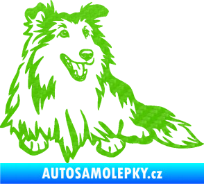 Samolepka Pes 162 pravá sheltie 3D karbon zelený kawasaki
