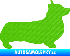 Samolepka Pes 164 pravá Welsh Corgi Pembroke 3D karbon zelený kawasaki