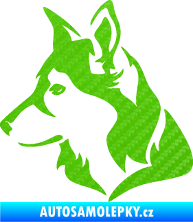 Samolepka Pes 165 levá 3D karbon zelený kawasaki