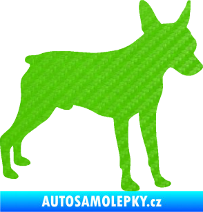 Samolepka Pes 178 pravá pražský krysařík 3D karbon zelený kawasaki