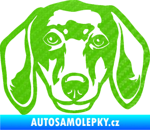 Samolepka Pes 180 pravá jezevčík  3D karbon zelený kawasaki