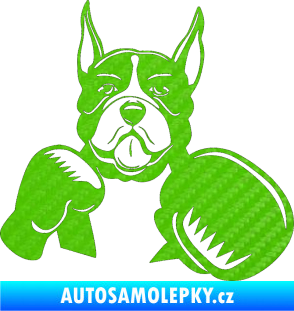 Samolepka Pes 183 pravá boxer 3D karbon zelený kawasaki