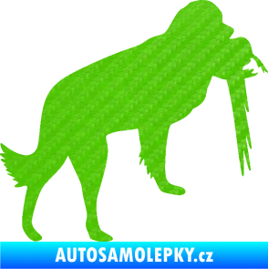 Samolepka Pes 193 pravá lovecký s bažantem 3D karbon zelený kawasaki