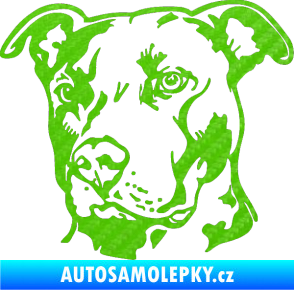 Samolepka Pes 198 pitbull levá 3D karbon zelený kawasaki