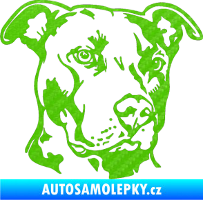 Samolepka Pes 198 pitbull pravá 3D karbon zelený kawasaki