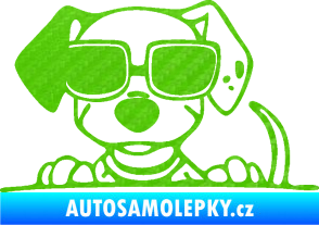 Samolepka Pes s brýlemi 101 levá v autě 3D karbon zelený kawasaki