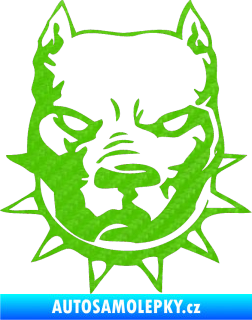 Samolepka Pitbull hlava 002 pravá 3D karbon zelený kawasaki