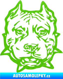 Samolepka Pitbull hlava 003 pravá 3D karbon zelený kawasaki