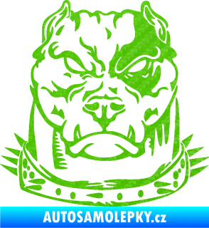 Samolepka Pitbull hlava 005 levá 3D karbon zelený kawasaki