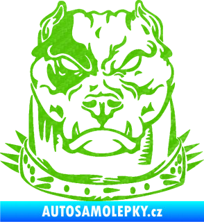 Samolepka Pitbull hlava 005 pravá 3D karbon zelený kawasaki