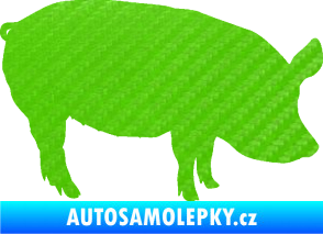 Samolepka Prase 001 pravá 3D karbon zelený kawasaki