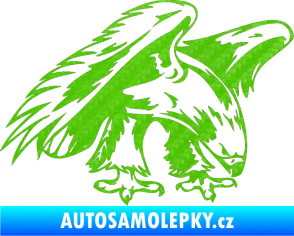 Samolepka Predators 001 pravá orel 3D karbon zelený kawasaki