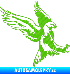 Samolepka Predators 003 pravá 3D karbon zelený kawasaki