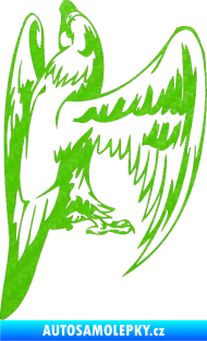 Samolepka Predators 018 pravá 3D karbon zelený kawasaki