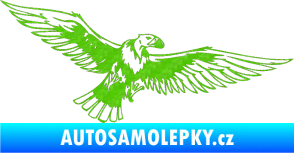 Samolepka Predators 028 pravá sup 3D karbon zelený kawasaki