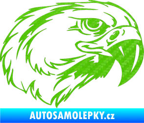Samolepka Predators 031 pravá 3D karbon zelený kawasaki