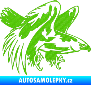 Samolepka Predators 034 pravá 3D karbon zelený kawasaki