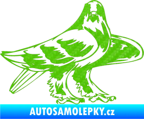 Samolepka Predators 047 pravá 3D karbon zelený kawasaki