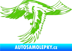 Samolepka Predators 048 levá 3D karbon zelený kawasaki