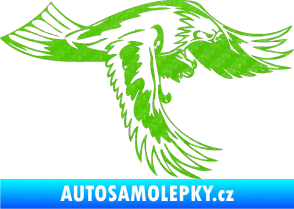Samolepka Predators 048 pravá 3D karbon zelený kawasaki