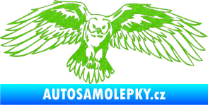 Samolepka Predators 077 pravá sova 3D karbon zelený kawasaki