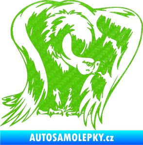 Samolepka Predators 083 pravá sup 3D karbon zelený kawasaki