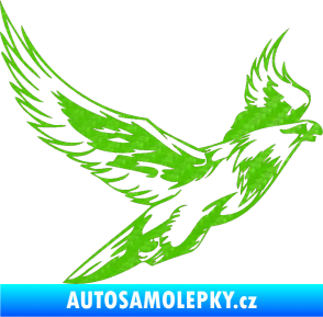 Samolepka Predators 088 pravá 3D karbon zelený kawasaki