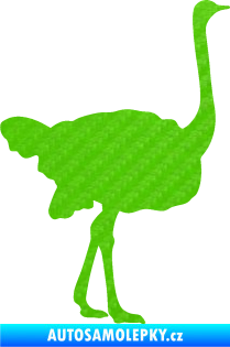 Samolepka Pštros 001 pravá 3D karbon zelený kawasaki