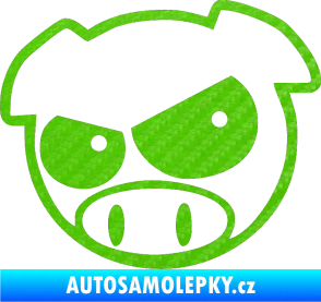Samolepka Rally pig 002 levá 3D karbon zelený kawasaki