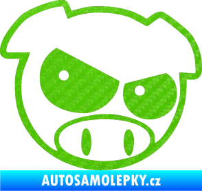 Samolepka Rally pig 002 pravá 3D karbon zelený kawasaki